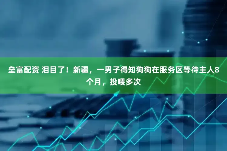 垒富配资 泪目了！新疆，一男子得知狗狗在服务区等待主人8个月，投喂多次