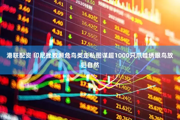 港联配资 印尼挫败濒危鸟类走私图谋超1000只爪哇绣眼鸟放归自然