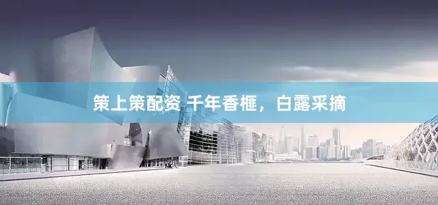 策上策配资 千年香榧，白露采摘